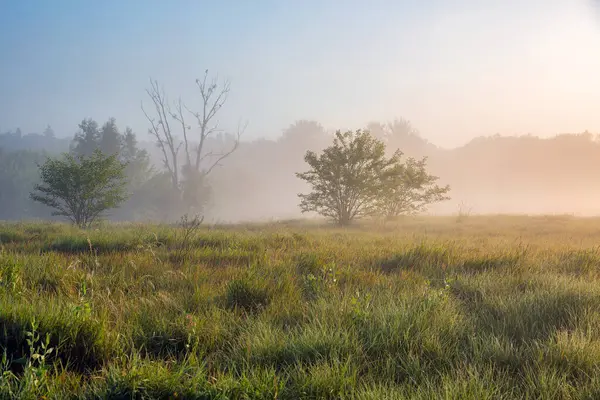 Ros nehri üzerinde pus ile Yaz erken sabah manzara, Ukrayna.