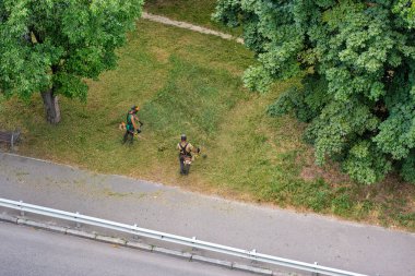 Bir grup işçi şehir parkındaki çimleri benzin fırçasıyla biçiyor.