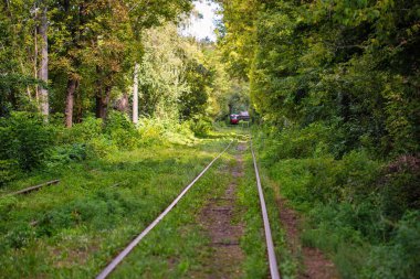 Ukrayna, Kyiv 'de ormandan geçen uzun tramvay rayları..