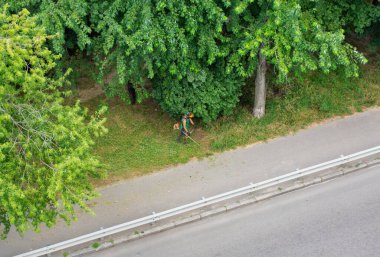 Bir grup işçi şehir parkındaki çimleri benzin fırçasıyla biçiyor.
