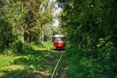 Ukrayna, Kyiv 'de ormandan geçen uzun tramvay rayları..