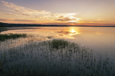 Gündoğumunda Ukrayna 'nın Rivne bölgesindeki Beyaz Göl üzerinde hava panoramik dron görüntüsü.