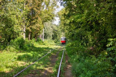 Ukrayna, Kyiv 'de ormandan geçen uzun tramvay rayları..