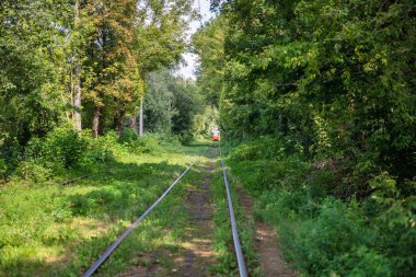 Ukrayna, Kyiv 'de ormandan geçen uzun tramvay rayları..