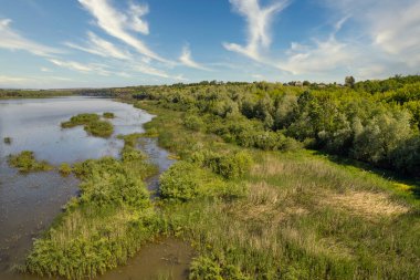 River Dniester Ukrayna 'daki manzara kıyıları.