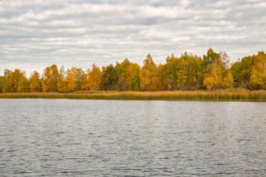 Sonbahar manzarası bulutlu gökyüzü, orman ve nehir.