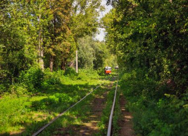 Ukrayna, Kyiv 'de ormandan geçen uzun tramvay rayları..