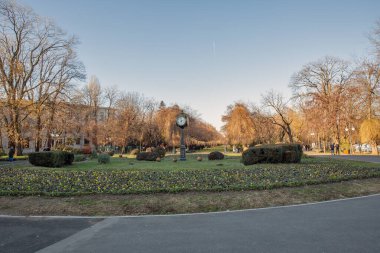 Bükreş, Romanya - 01 Ocak 2025: Halk şehir merkezindeki bir halk parkı olan Cismigiu Garden 'ı ziyaret etti.