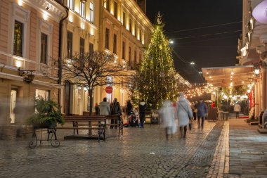 Chernivtsi, Ukrayna - 23 Aralık 2024: Kobylyanska Caddesi Noel gecesi dekore edilmiştir. Chernivtsi, Bukovina 'nın Romanya ve Ukrayna arasında bölünmüş tarihi bölgesinin başkentidir.