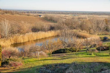 Moldova 'nın Purcari kentindeki bahçe gölü, üzüm bağları ve tarım arazileri ile resmedilmiş kırsal sonbahar manzarası.