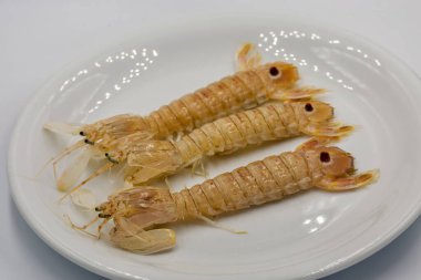 Beyaz tabakta çiğ peygamber devesi karidesi ya da Squilla peygamberdevesi..