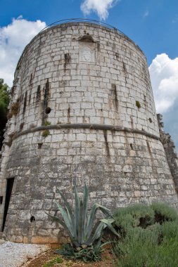 Hırvatistan 'ın Istria kentindeki Porec kentinde devasa dairesel taş kule. Mavi bir gökyüzünün altında dimdik duruyor. Tabanında, lavanta ve eski taşlarla çevrili büyük bir agave bitkisi yetişiyor..