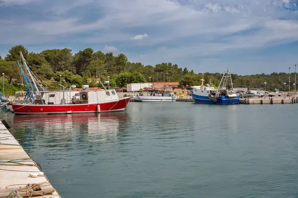 Kırmızı, beyaz ve mavi balıkçı tekneleri bulutlu gökyüzünün altında orman tepeleri ve marina altyapısı ile çevrili yansımalarla sakin liman sularına demirlediler. Istria, Hırvatistan.