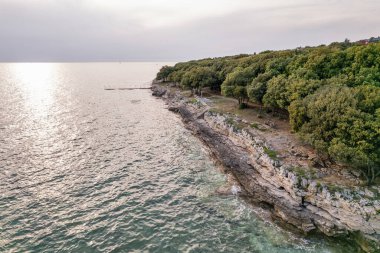 Hırvatistan 'ın Istria kentindeki kayalık bir kıyı şeridinin hava aracı görüntüsü, kristal berraklığında turkuaz su, kıyıya doğru taş basamaklar ve uçurumların üzerindeki yemyeşil orman.