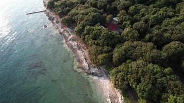 Hırvatistan 'ın Istria kentindeki kayalık bir günbatımı sahil şeridi olan Lanterna yarımadasının hava aracı görüntüsü, kristal berrak turkuaz su, sörf dalgaları, kıyıya taş basamaklar ve uçurumların üzerindeki yemyeşil orman.