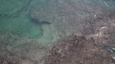 Şeffaf deniz suyu kayalık kıyı şeridinde yavaşça akıyor. Küçük doğal havuzlar ve köpüklü dalgalarla. Doğa, seyahat ve kıyı teması için mükemmel. Hava aracı görüntüsü. Istria, Hırvatistan.