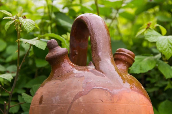 Detail Clay Ceramic Jug Perched Stone Wall Surrounded Vegetation — Stock Photo, Image