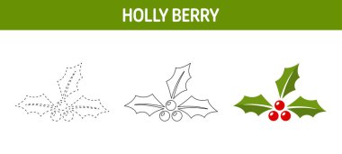 Çocuklar için Holly Berry izleme ve boyama çalışmaları