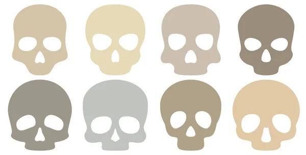 Serie Cranio Isolato Sfondo Bianco — Vettoriale Stock