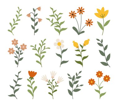 Çiçek elementleri seti. Yapraklı çiçek koleksiyonu.