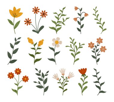 Çiçek elementleri seti. Yapraklı çiçek koleksiyonu.