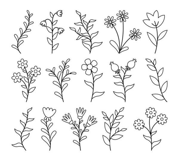 Set Von Floralen Elementen Blume Sammlung Mit Blättern — Stockvektor
