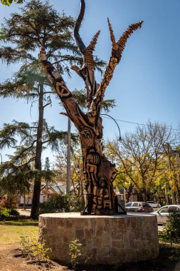 CORDOBA, ARGENTINA, 5 Mayıs 2022: Villa General Belgrano parkında heykel şekillendiren ağaç.