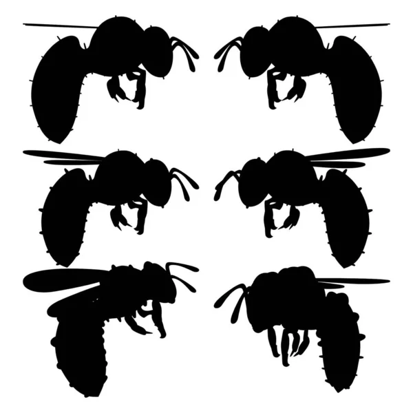 Bee Vector Illustration Isolée Sur Fond Blanc Une Illustration Vectorielle — Image vectorielle