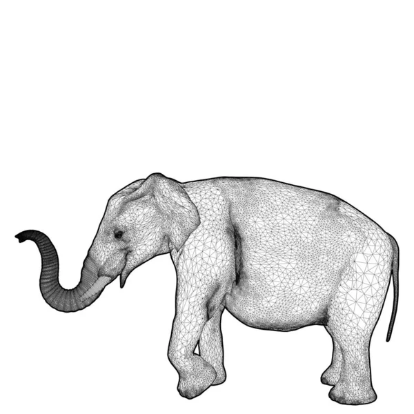 Elefante Vector Isolado Fundo Branco Uma Ilustração Vetorial Elefante — Vetor de Stock