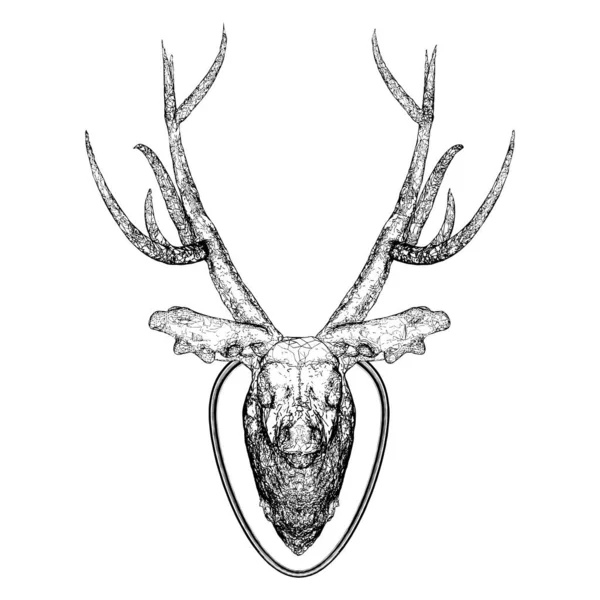 Deer Head Antlers Vector Izolované Bílém Pozadí Vektorová Ilustrace Dekoru — Stockový vektor