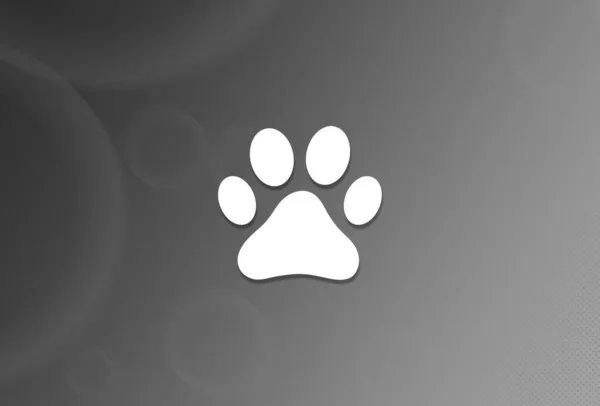 Pies Lub Kot Łapa Wydrukować Ikonę Czarno Białym Tle Abstrakcyjny — Zdjęcie stockowe