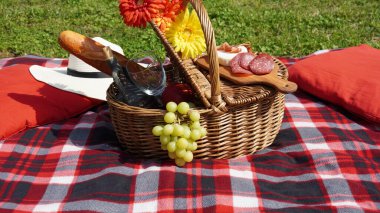 Piknik sepeti ve parkta yiyecek ve şarap. Yaz pikniği konsepti.