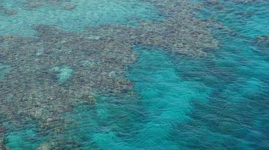 Coral Beach tabiatı Eilat, İsrail'in deniz manzarası.