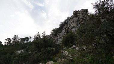 Landscape in Nahal (creek) Oren, at the west side of Mount Carmel
