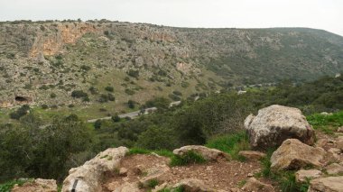 Landscape in Nahal (creek) Oren, at the west side of Mount Carmel