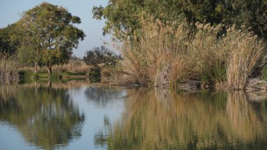 Lake at Antipatris Fort Binar Bashi, Yarkon Tel-Afek National Park in the morning
