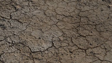 İklim değişikliği kuraklık arazisi. Küresel ısınma sorunu, bir nehrin dibindeki çatlak çamur.