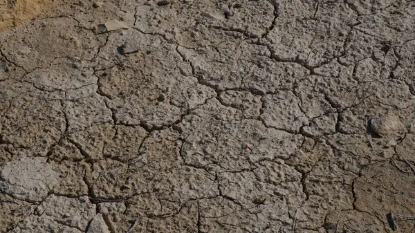 Climate Change Drought Land Global Warming Issue Cracked Mud Bottom — Stock Photo, Image