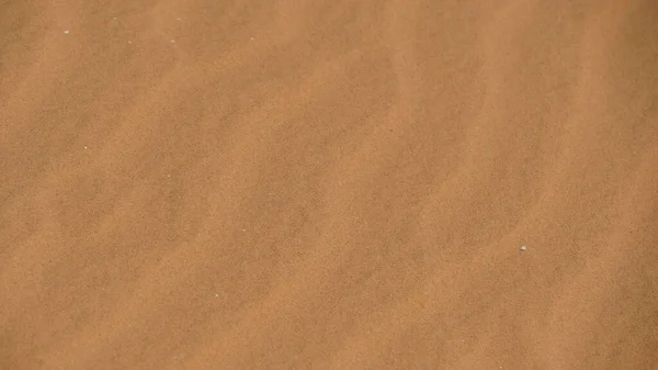 Desert Sand Ripples Nature Landscape Negev Israel — Zdjęcie stockowe