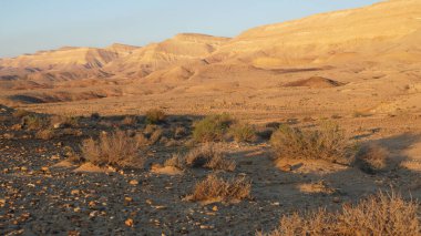 Negev Çölü manzarası, gün doğumunda İsrail 'in güneyindeki Makhtesh Gadol kraterinin dibinde.
