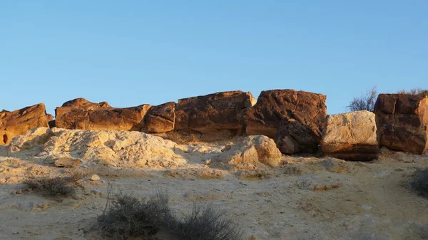 Fósseis Tronco Árvore Estão Fundo Cratera Makhtesh Gadol Sul Israel — Fotografia de Stock