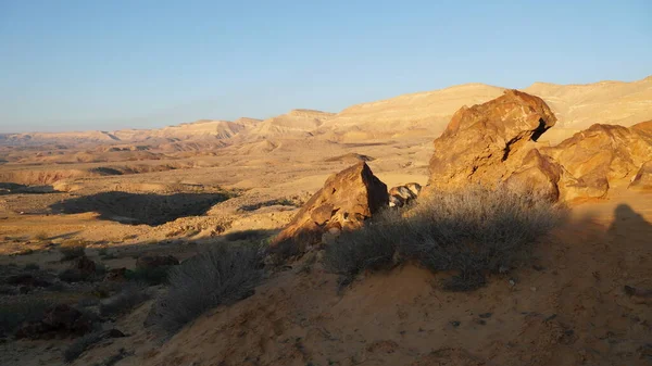 Kmen Stromu Fosílie Jsou Dně Kráteru Machtesh Gadol Jihu Izraele — Stock fotografie