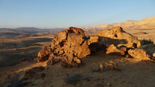 Fossilien Aus Baumstämmen Befinden Sich Boden Des Kraters Makhtesh Gadol — Stockfoto