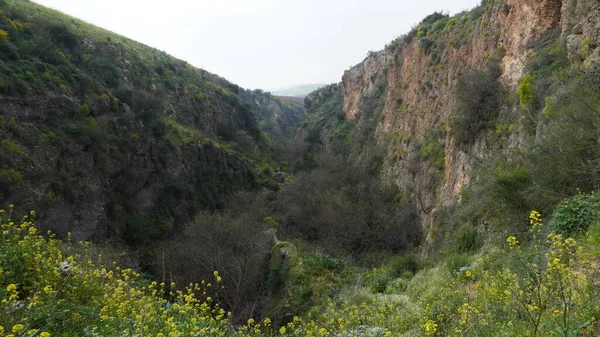 stock image View of Ayun River Nature Reserve in northern Israel