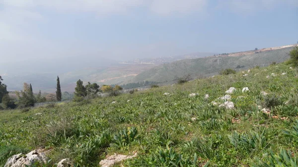 Widok Rezerwat Przyrody Ayun Północnym Izraelu — Zdjęcie stockowe