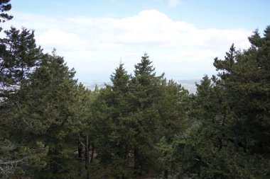 Mussolini 'nin Rodos, Yunanistan' daki Evi 'nden Dışarıya Bakış