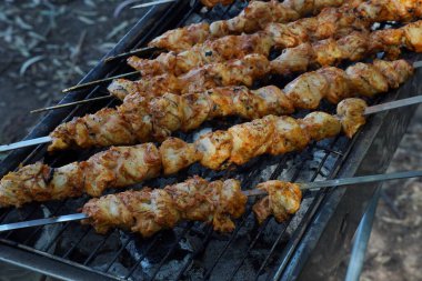 Shashlik - geleneksel Gürcü barbeküsü. Çelik metal şişler üzerinde ızgara ateşinde mangal kömürüyle pişirilmiş çiğ, marine edilmiş et ızgara şiş kebap şiş şiş. Barbekü yapıyorum.