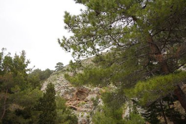 Rhodes Adası 'ndaki Jacob Kanyonu' nun dibinden görülen dik tepe.