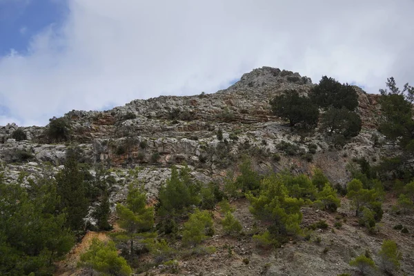 Steiler Hügel Vom Grund Des Jacob Canyon Auf Der Insel — Stockfoto
