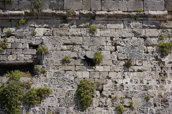 Enormes Muralhas Antigas Rodes Cidade Medieval Rodes Grécia — Fotografia de Stock